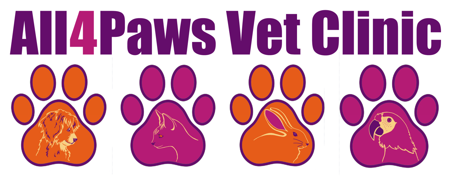 All 4 Paws Logo